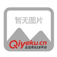 供應(yīng)濾頭、各種填料、濾料(圖)